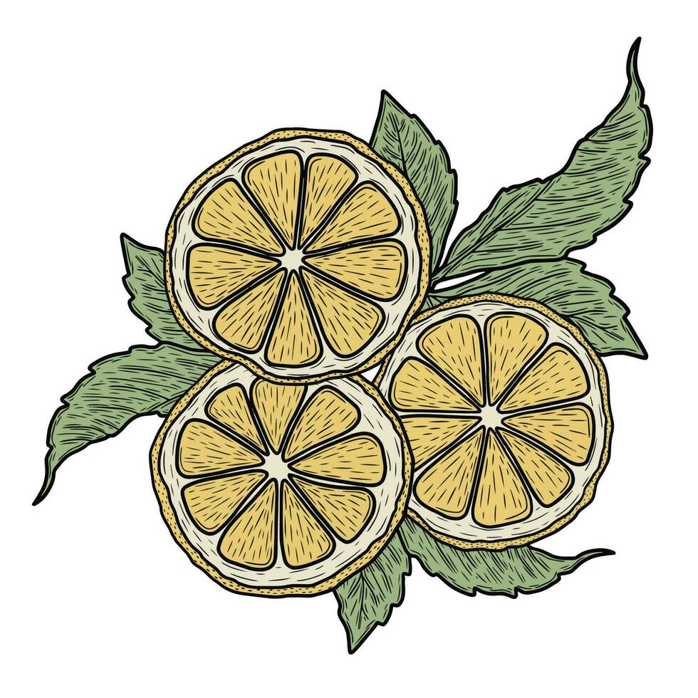 Composition of lemons with leaves, simple vector art