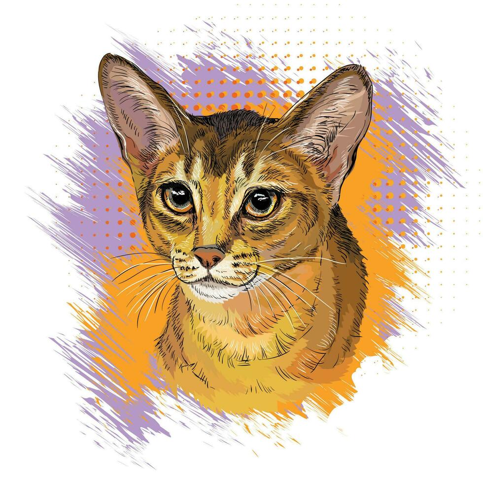Cute Abyssinian cat hand drawn vector illustration