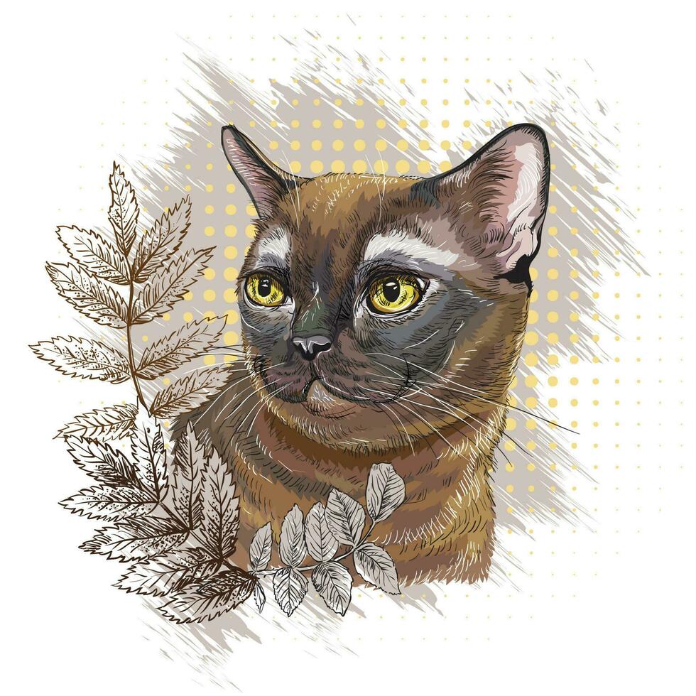 Burmese cat in leaves hand drawn vector illustration