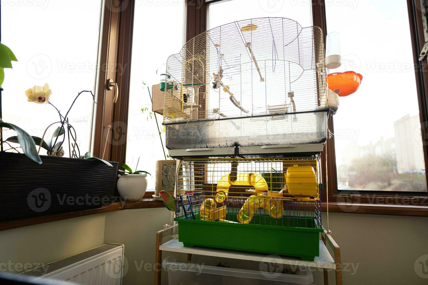 Cage for birds in the interior of the house. photo