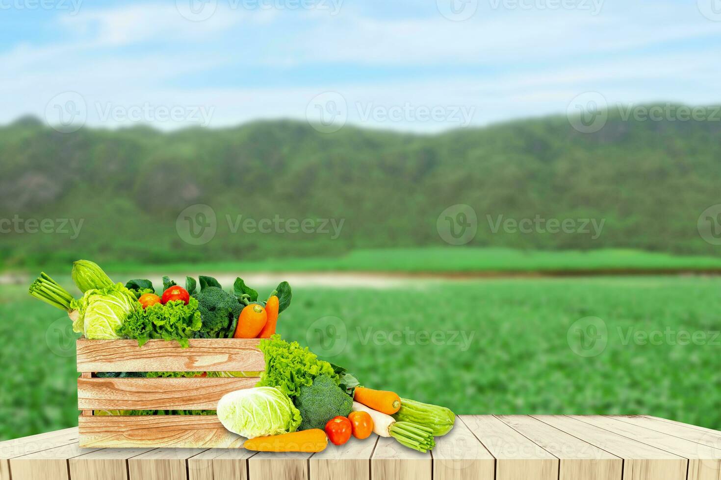 bandera diseño concepto de Fresco orgánico y vegetales en de madera mesa al aire libre. foto