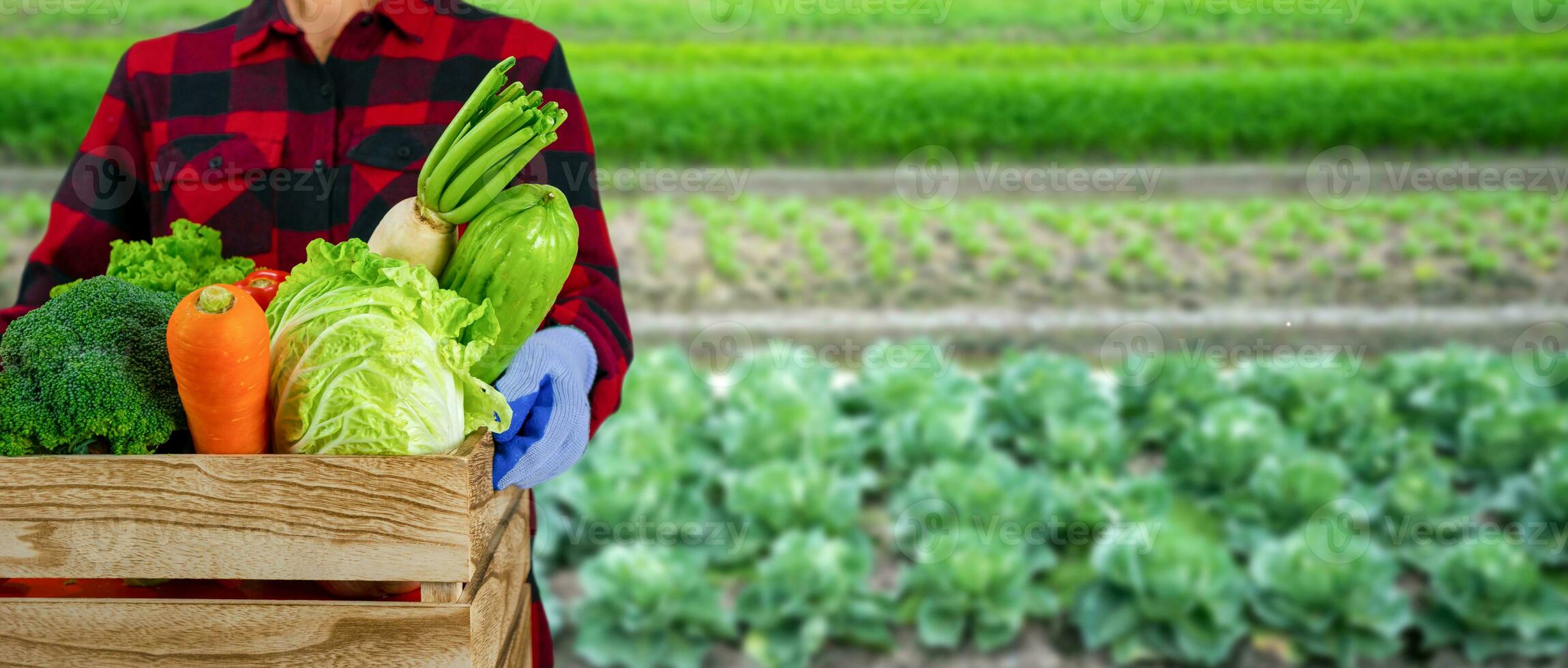 A gardener holds a wooden crate with various organic vegetables. vegetable garden background photo