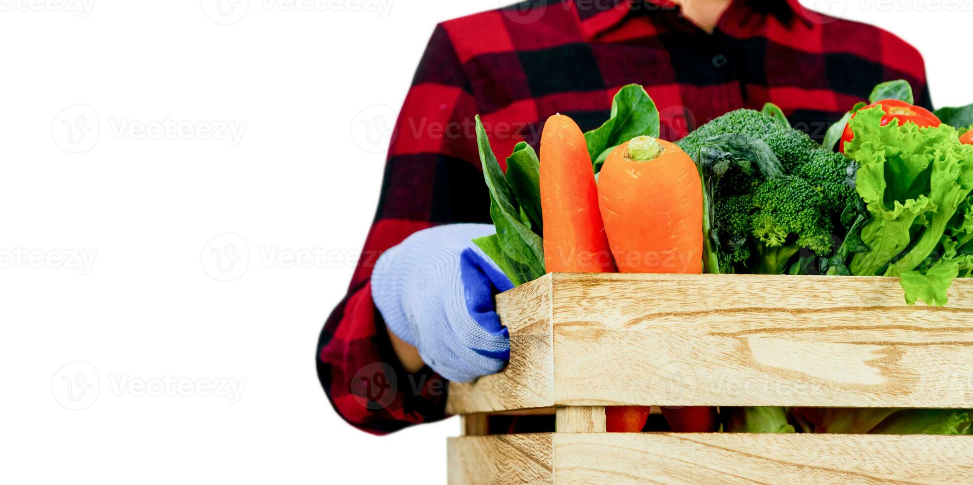 Gardener vegetables hold in wooden crate radish, tomato, carrot, chinese cabbage, broccoli, bitter gourd, chinese kale on a white background photo