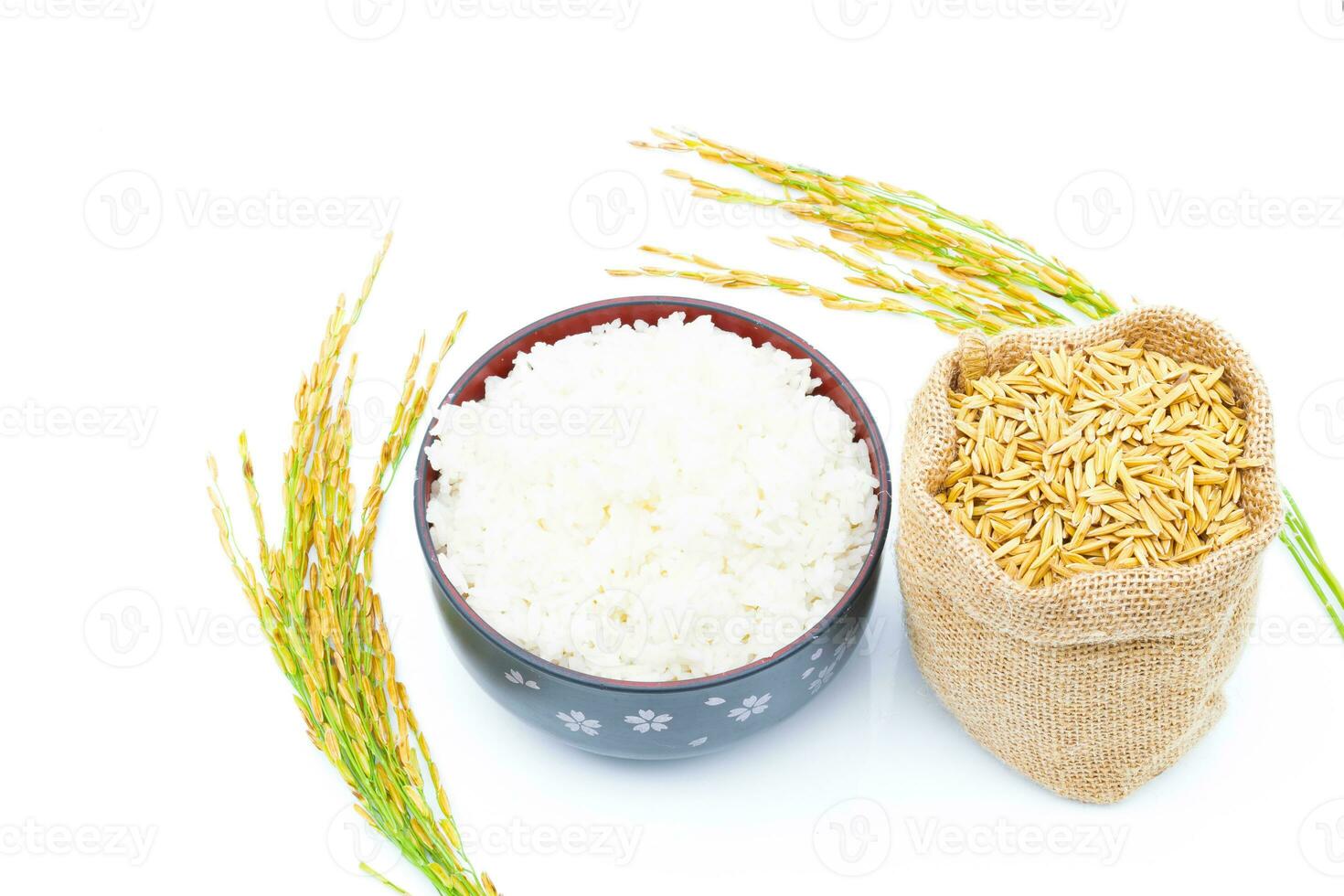 Rice of paddy Golden yellow in a sack on a white background photo