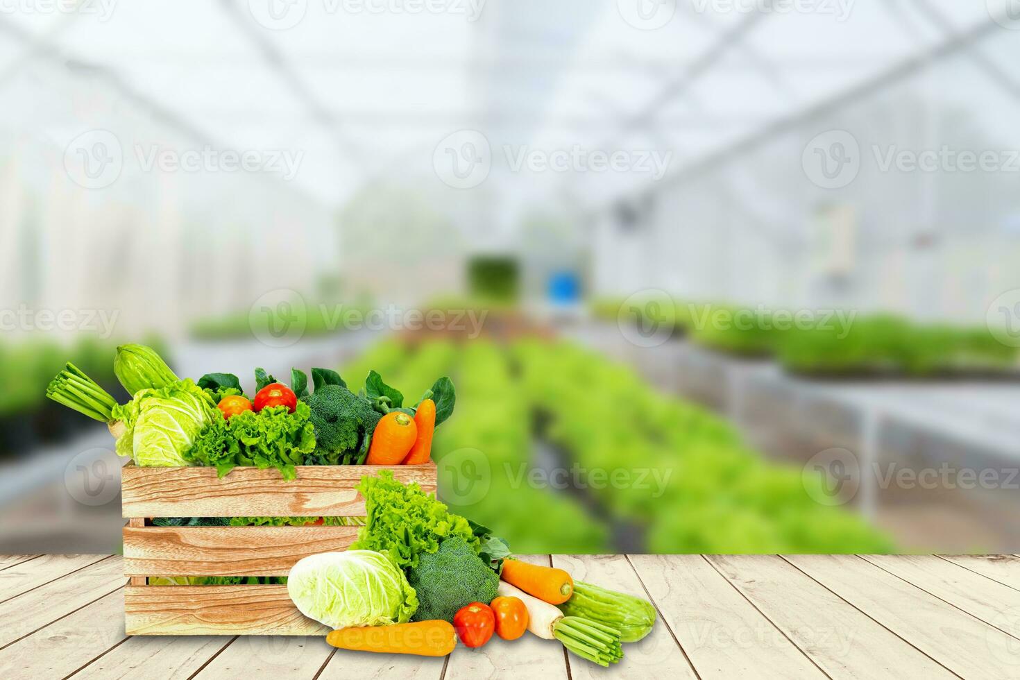 Banner design concept of fresh organic and vegetables on wooden table outdoors. photo