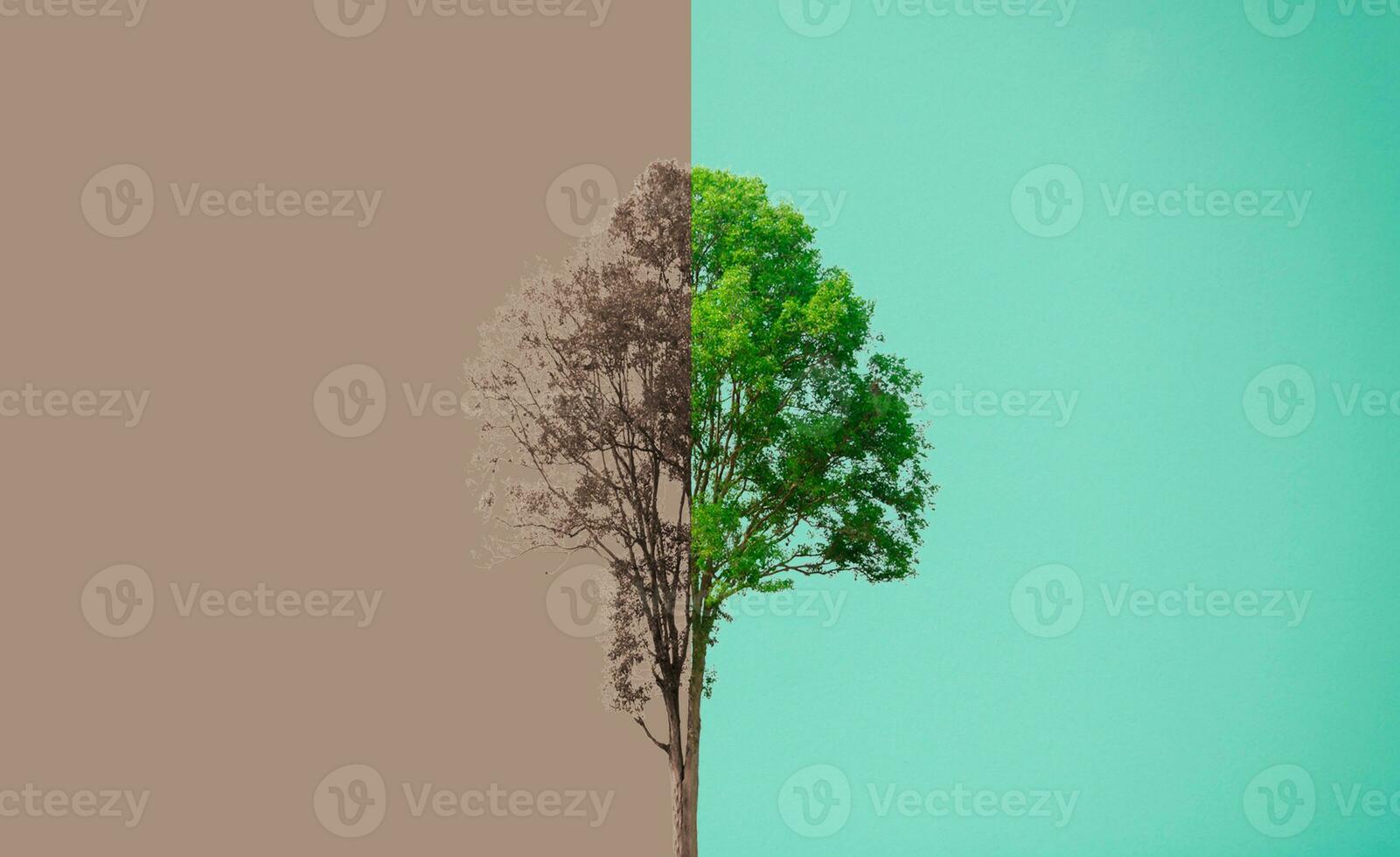 environmental concept fresh and dry trees on green background photo