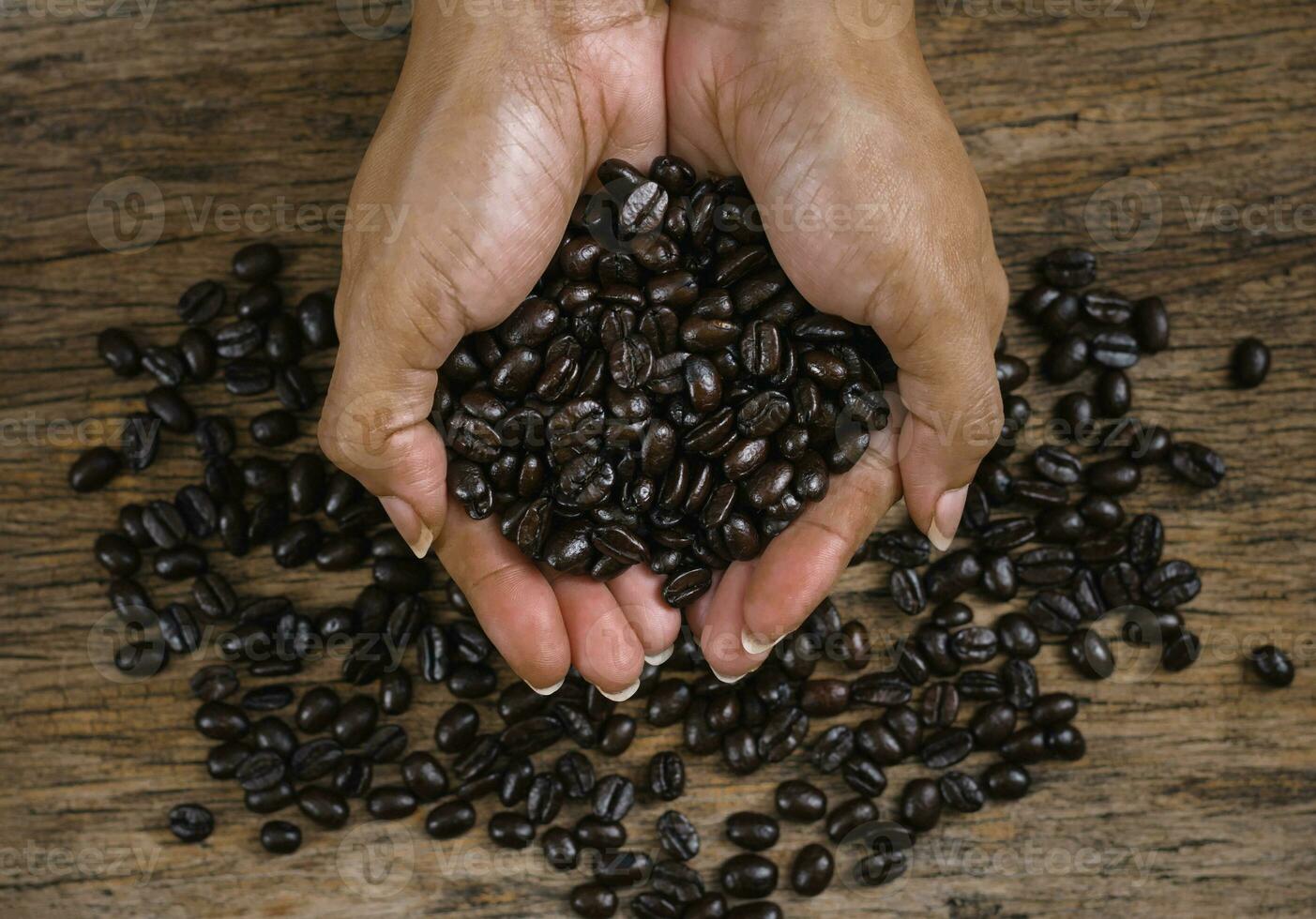 Roasted coffee beans on hand on wooden floors photo