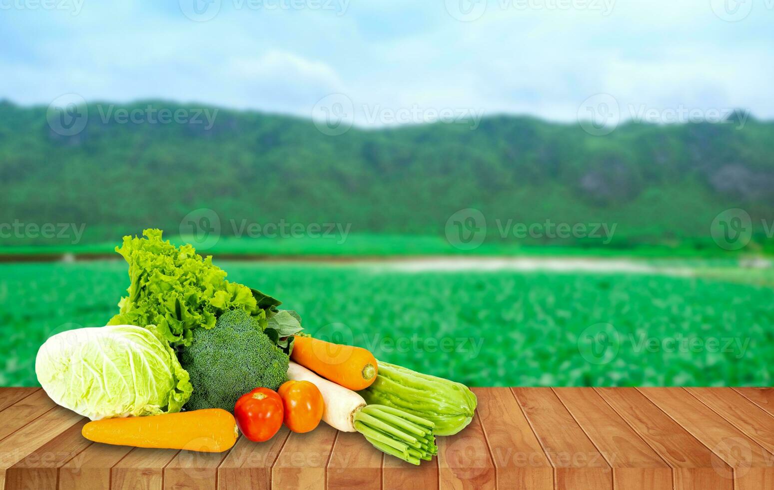 Banner design concept of fresh organic and vegetables on wooden table outdoors. photo