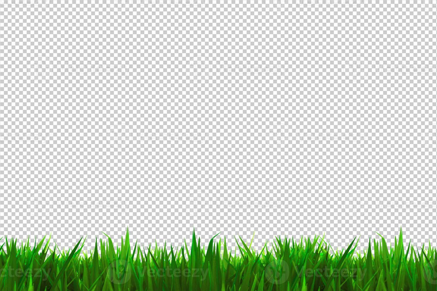 a green grass isolated,psd file photo