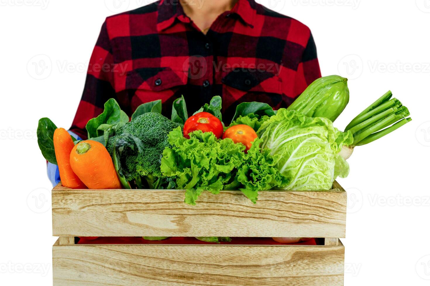 Gardener vegetables hold in wooden crate radish, tomato, carrot, chinese cabbage, broccoli, bitter gourd, chinese kale on a white background photo