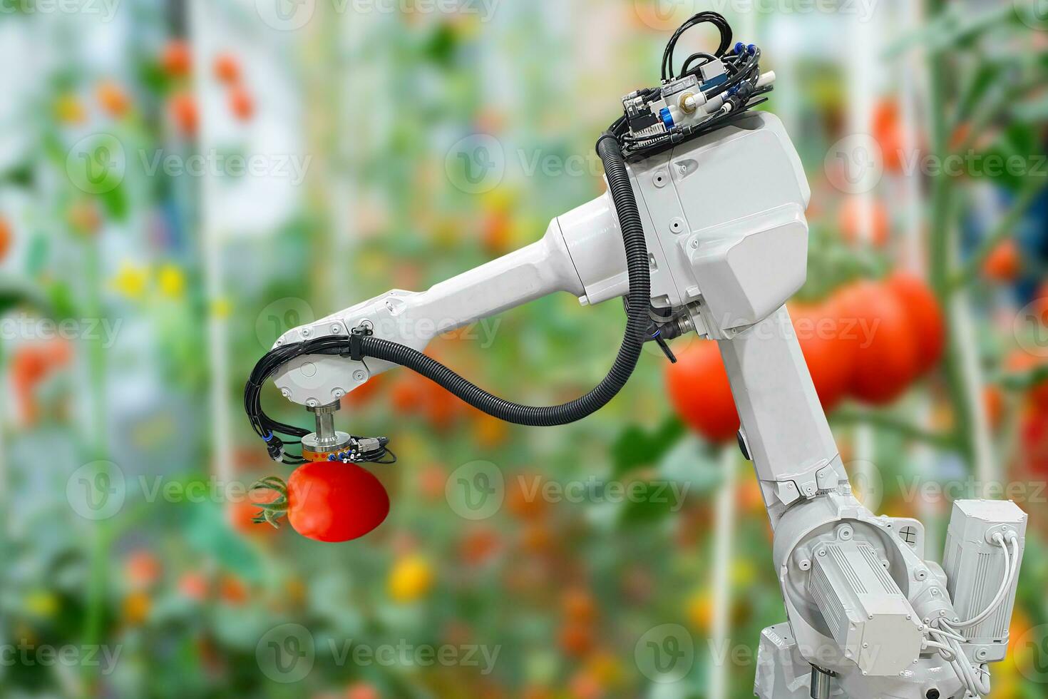 Smart robotic farmers harvest in agriculture futuristic robot automation to work technology increase efficiency photo