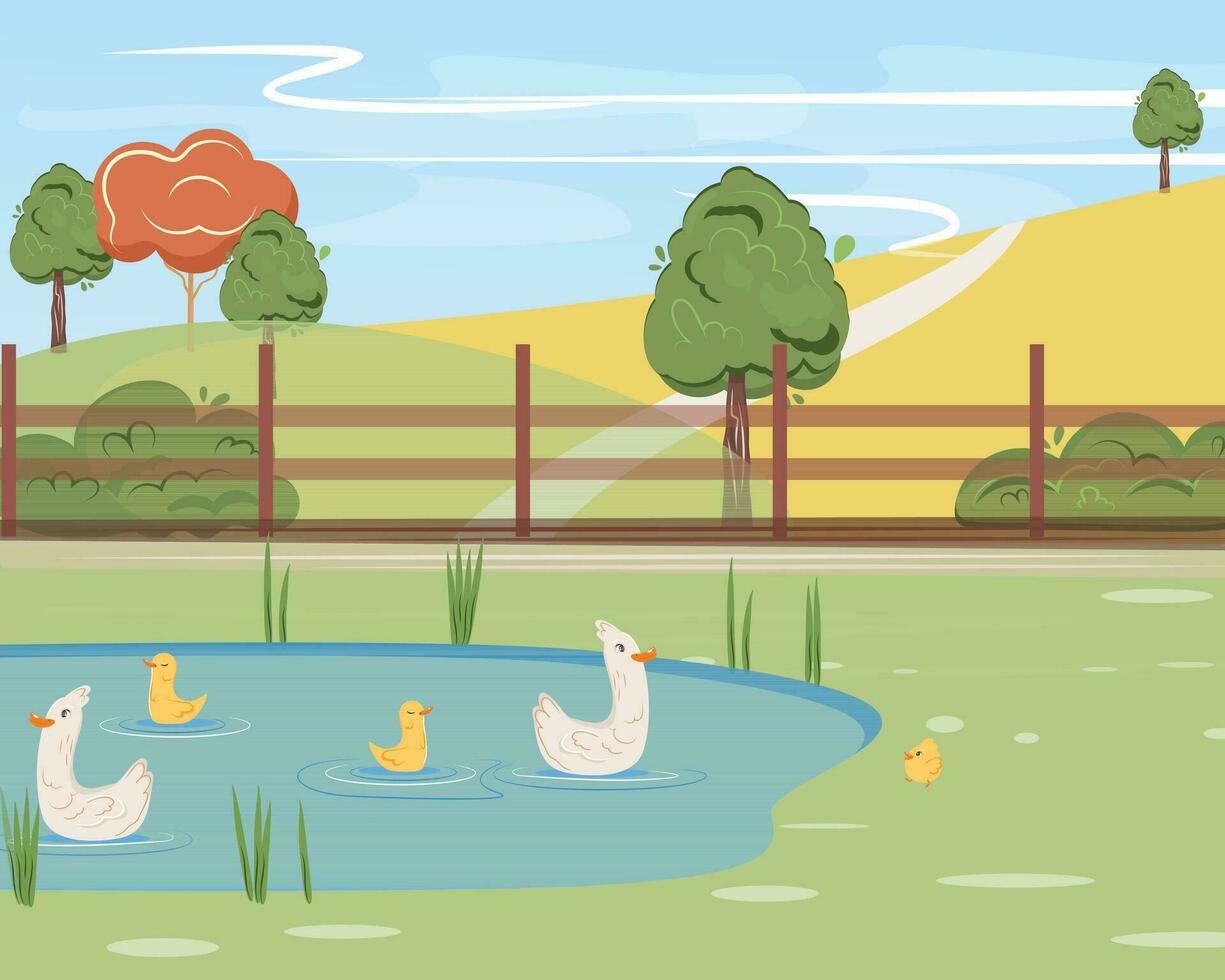 Flat cartoon illustration of a nature landscape with ducks swimming in the pond. vector