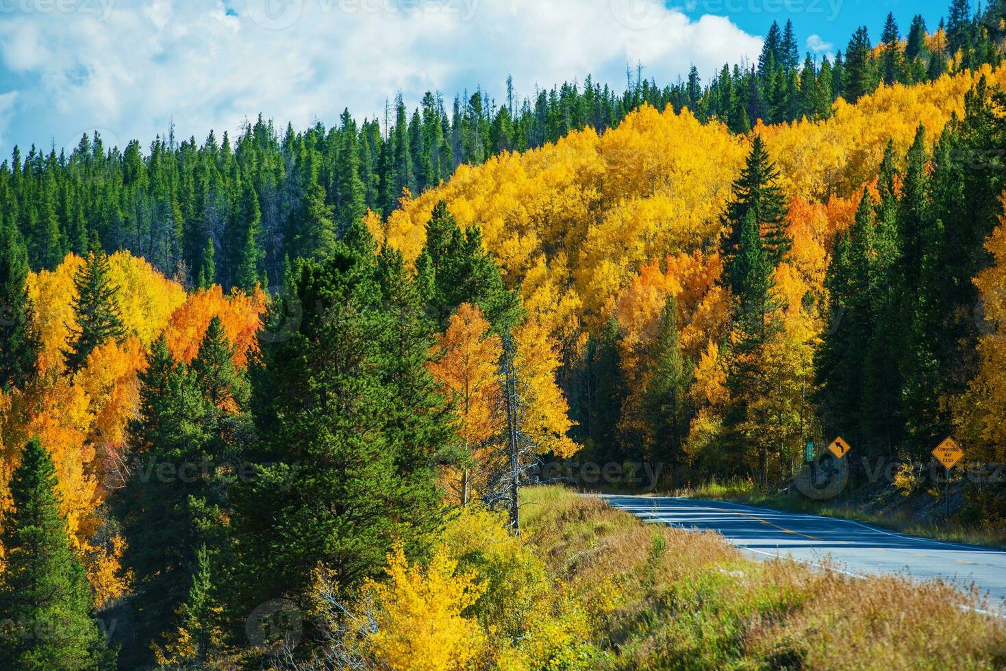 Scenic Fall Colorado Road photo