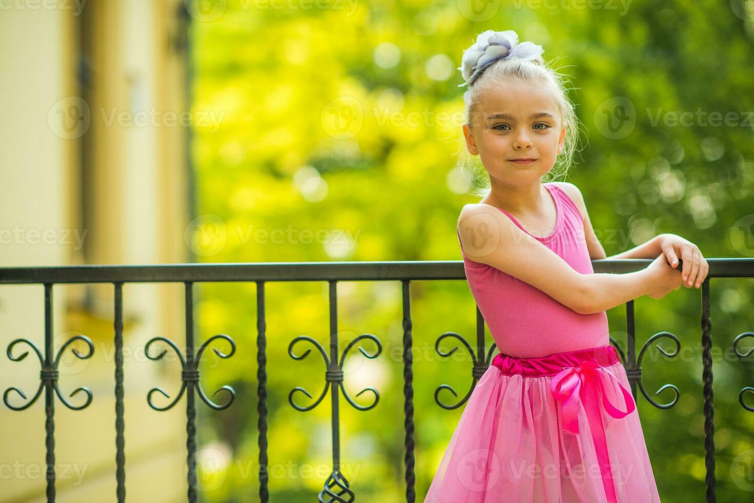 Little Girl in Pink Dress photo