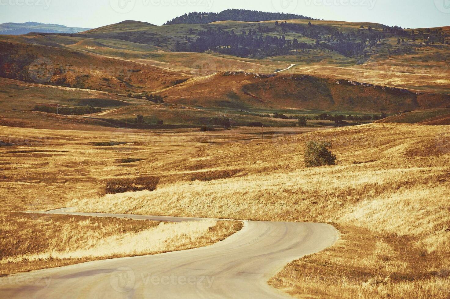 Black Hills South Dakota photo
