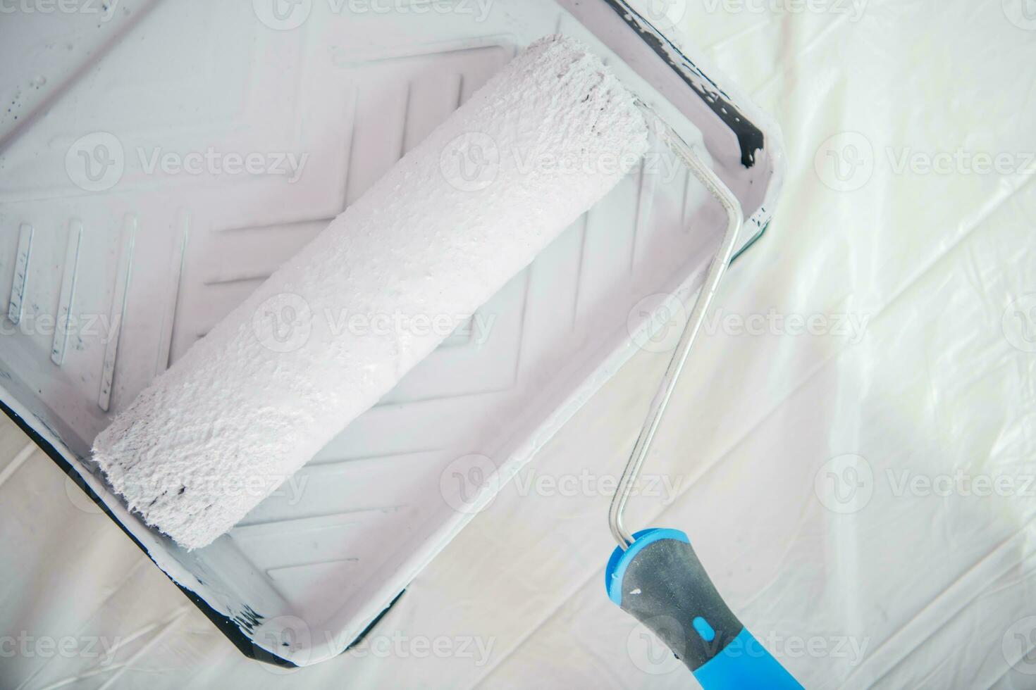 Painting Roller in the Container photo