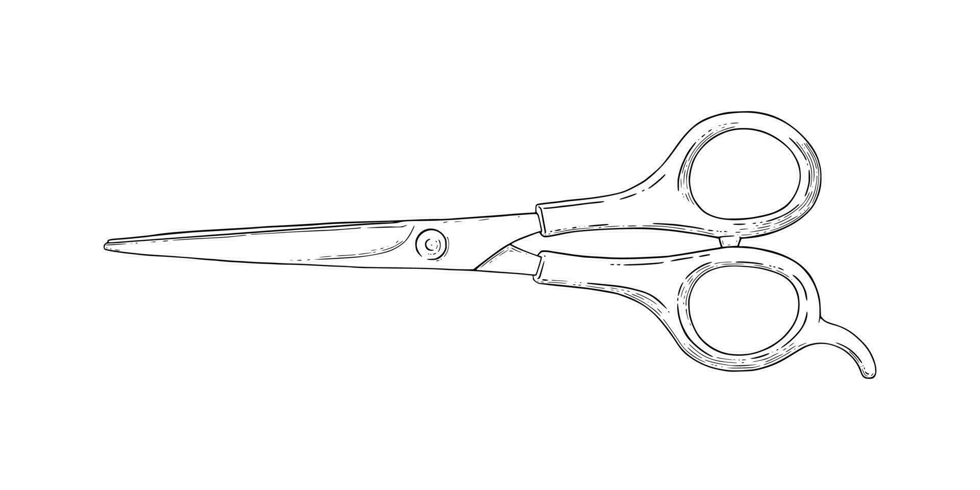 Scissors sketch. Hairdresser shears tool. Vector illustration