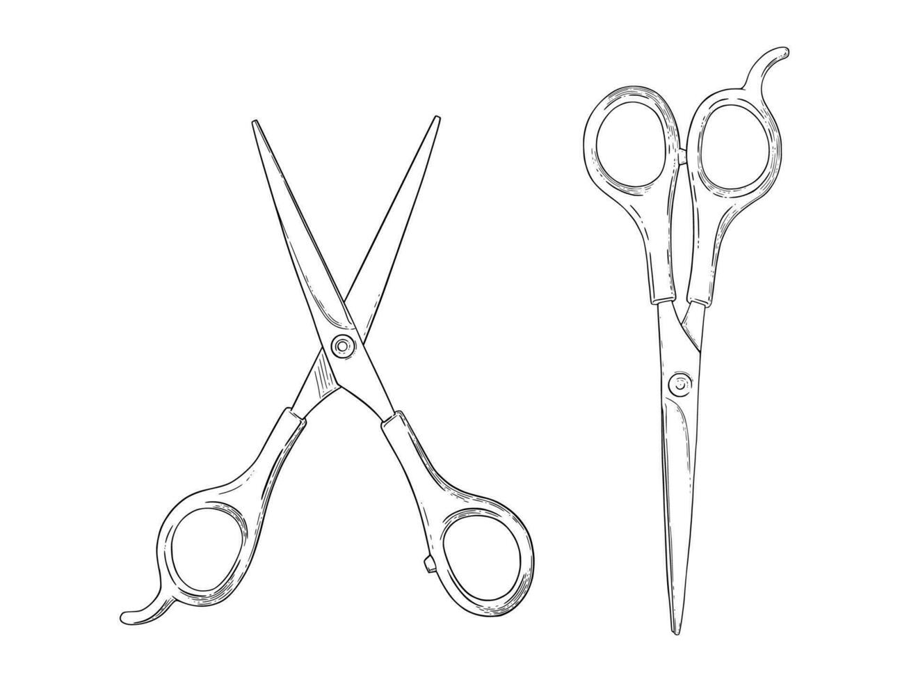 Scissors sketch. Hairdresser shears tool. Vector illustration