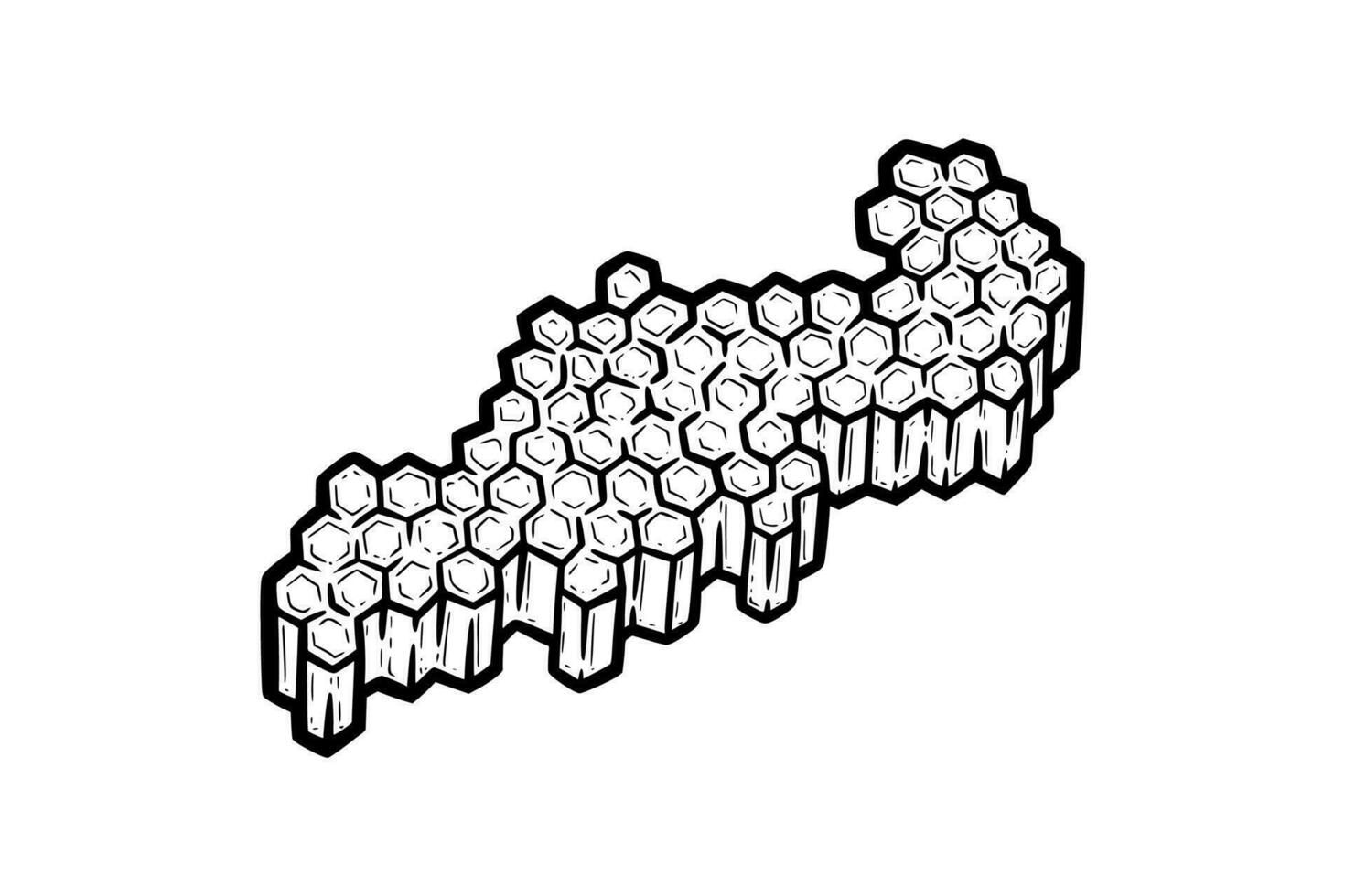 Hoheycomb full of honey. Piece of comb with hexagonal cells. Monochrome vector illustration