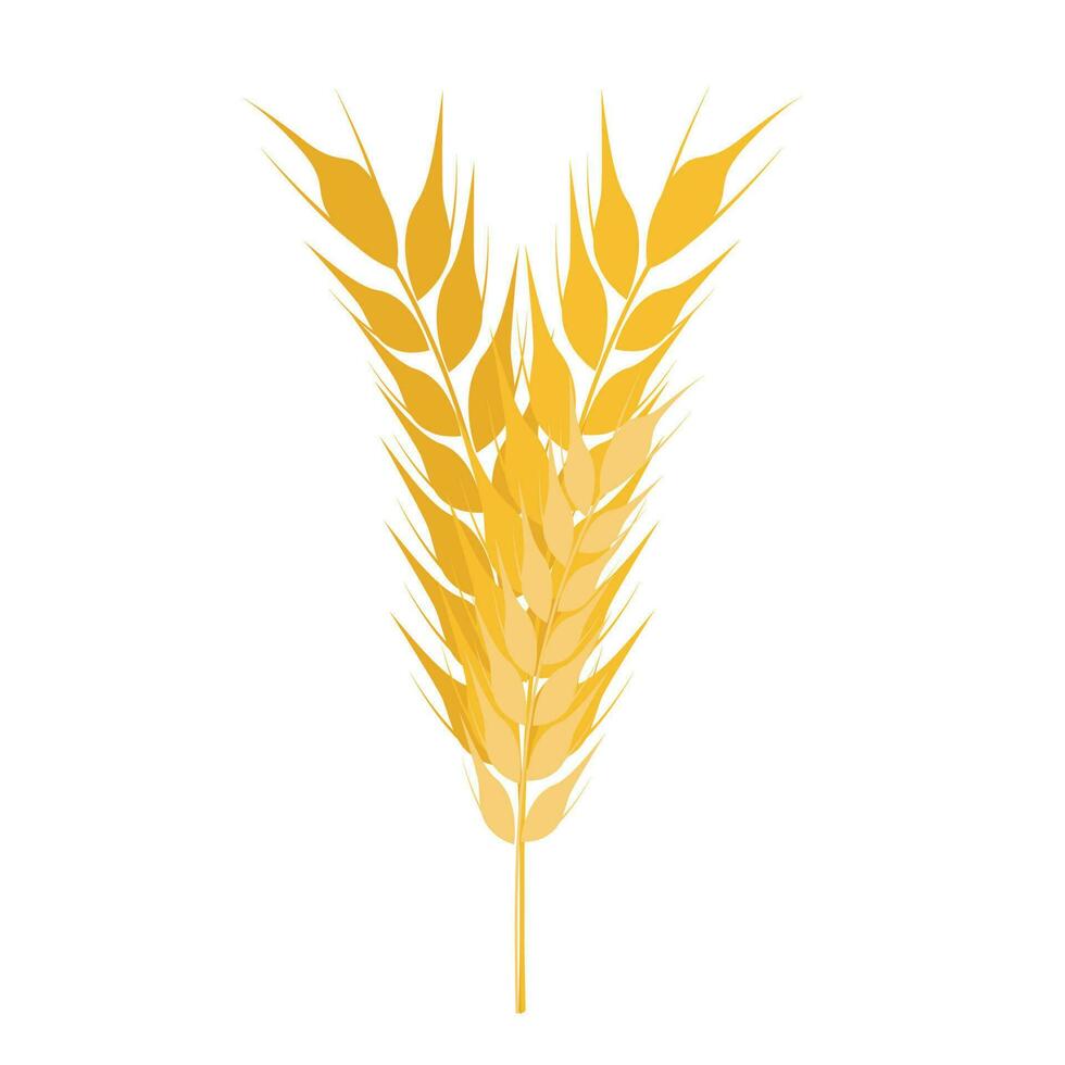 Collection of golden ripe spikelets of wheat. Agricultural symbol, flour production. Vector silhouette of wheat.