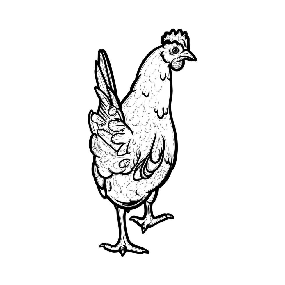 Domestic hen engraved in white background. Hen bird with cockscomb. Vector illustration