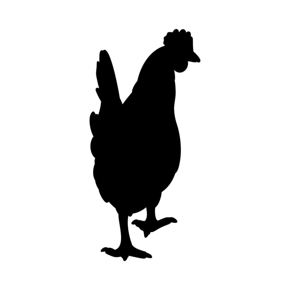 Hen or chicken silhouette isolated in white background. Free grazing hen bird in the runch vector