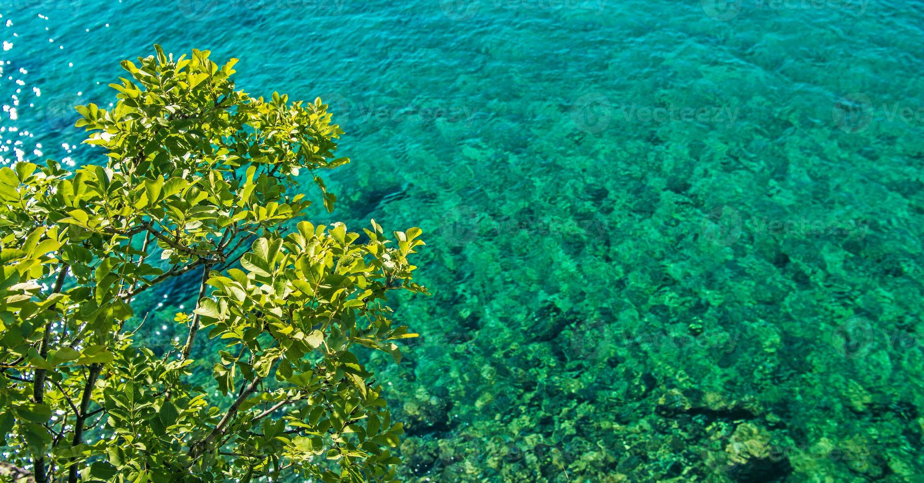 Scenic Turquoise Sea Shore photo