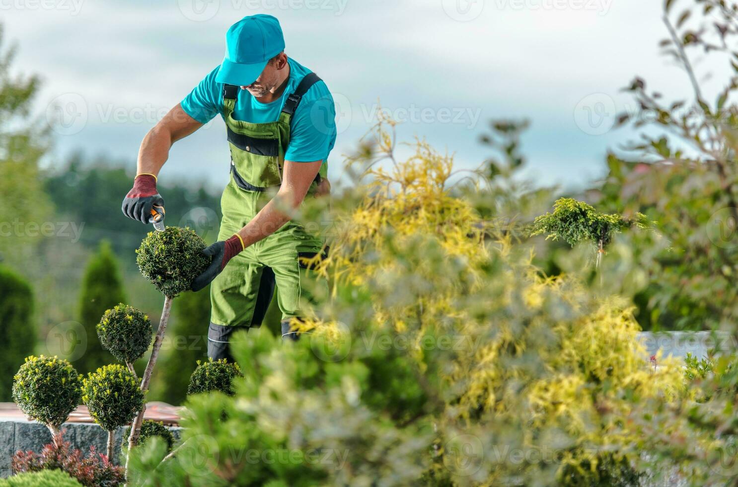 Gardener Maintenance Job photo
