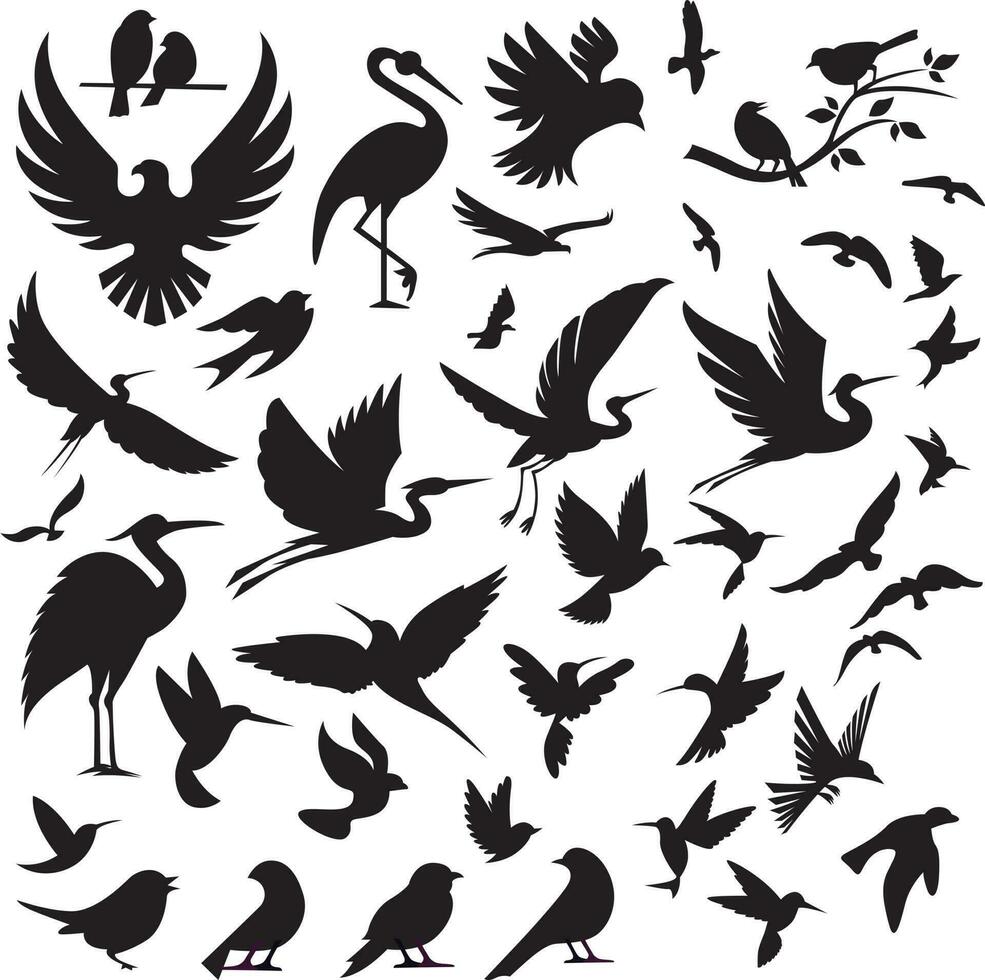 Set of birds silhouettes isolated on white background. Vector illustration.