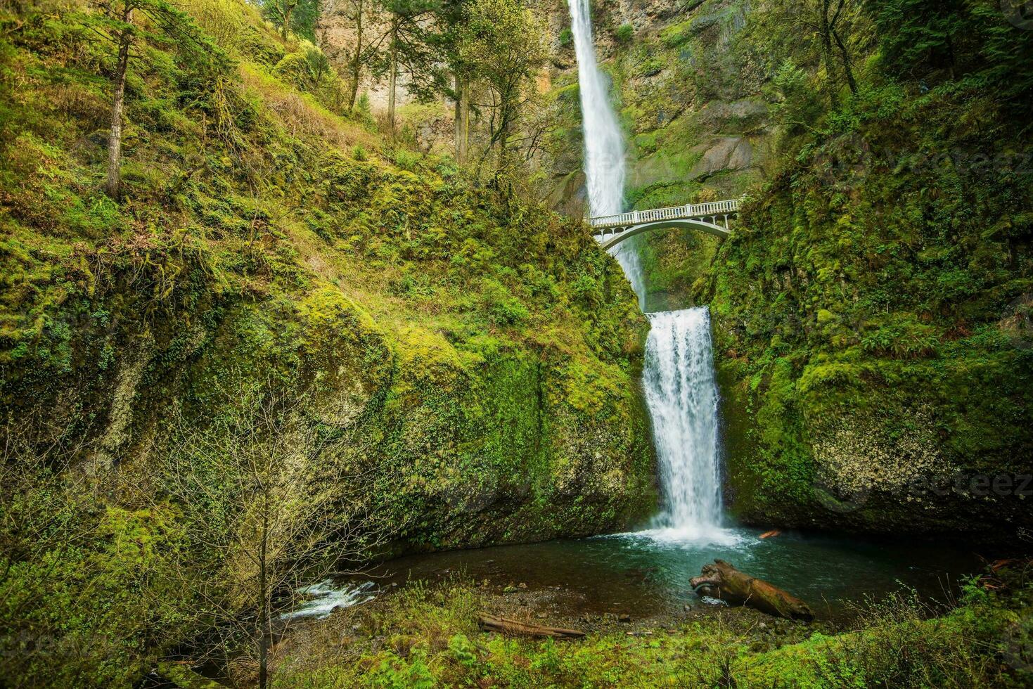 Famous Multnomah Falls photo