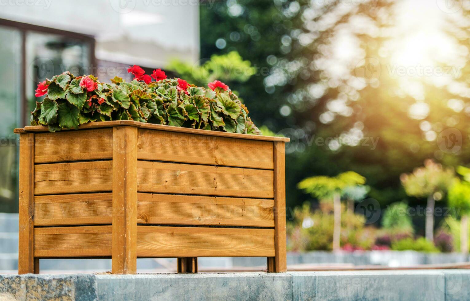 Blooming Flowers in Wooden Planter Box photo