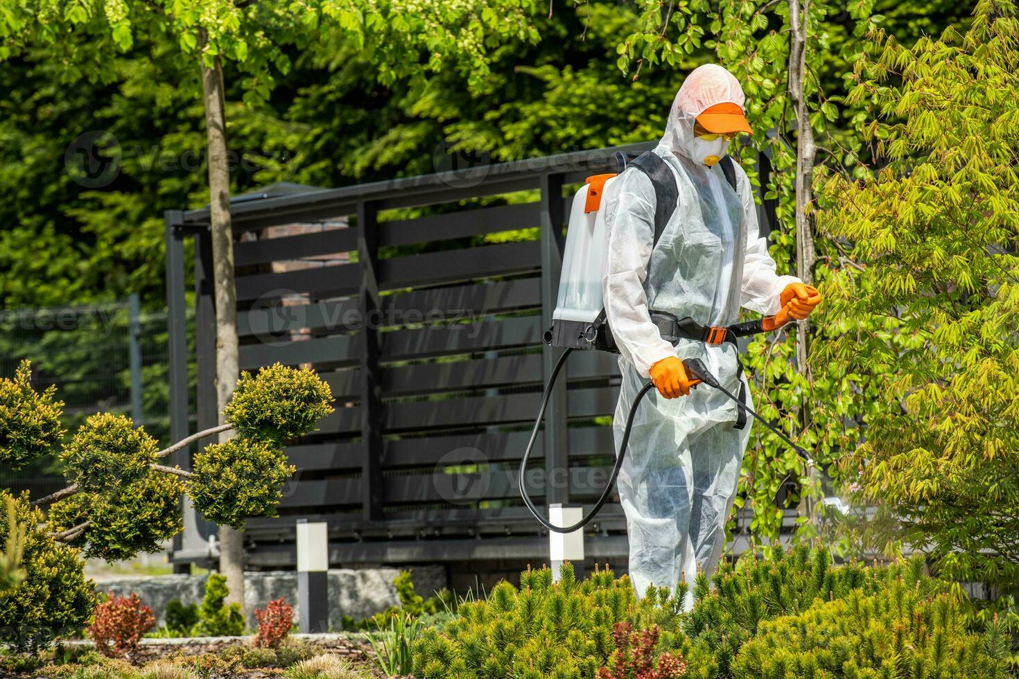 Professional Gardener Safely Spraying Pesticides on Garden Plants photo