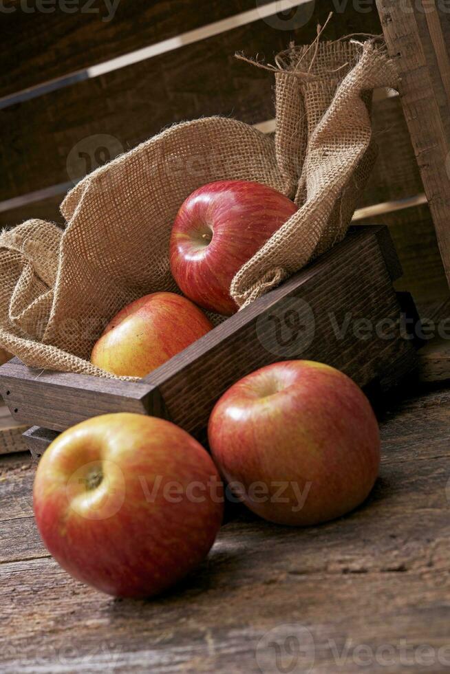 Apples in Wood Crate photo