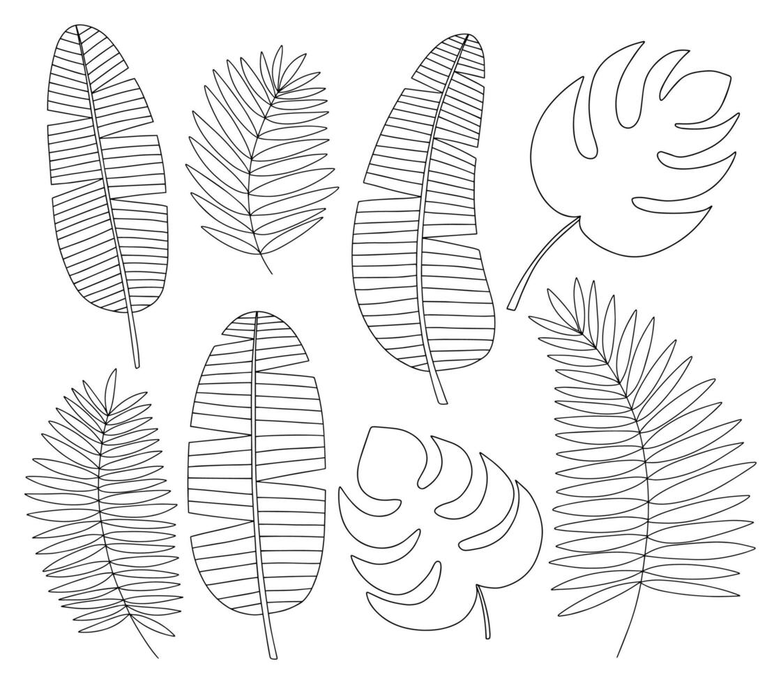 Tropical plant leaves outline set. Vector hand drawn different kinds of tropical leaves