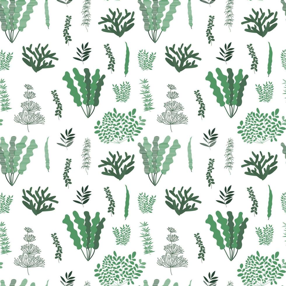 Seaweed and algae seamless pattern. Different kinds of underwater plants on white background vector