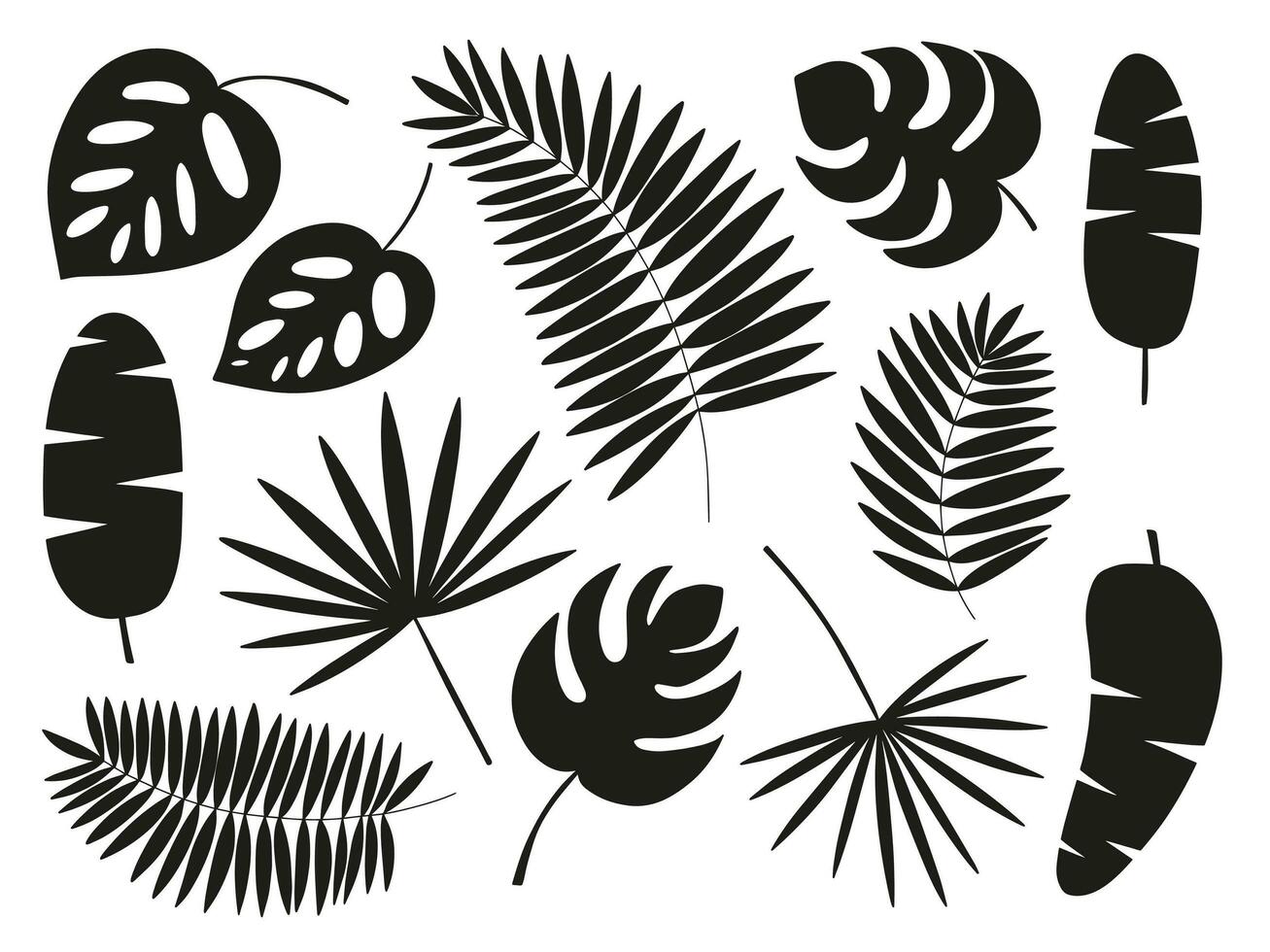Different kinds of exotic tropical leaves set. Vector tropical leaves silhouette set