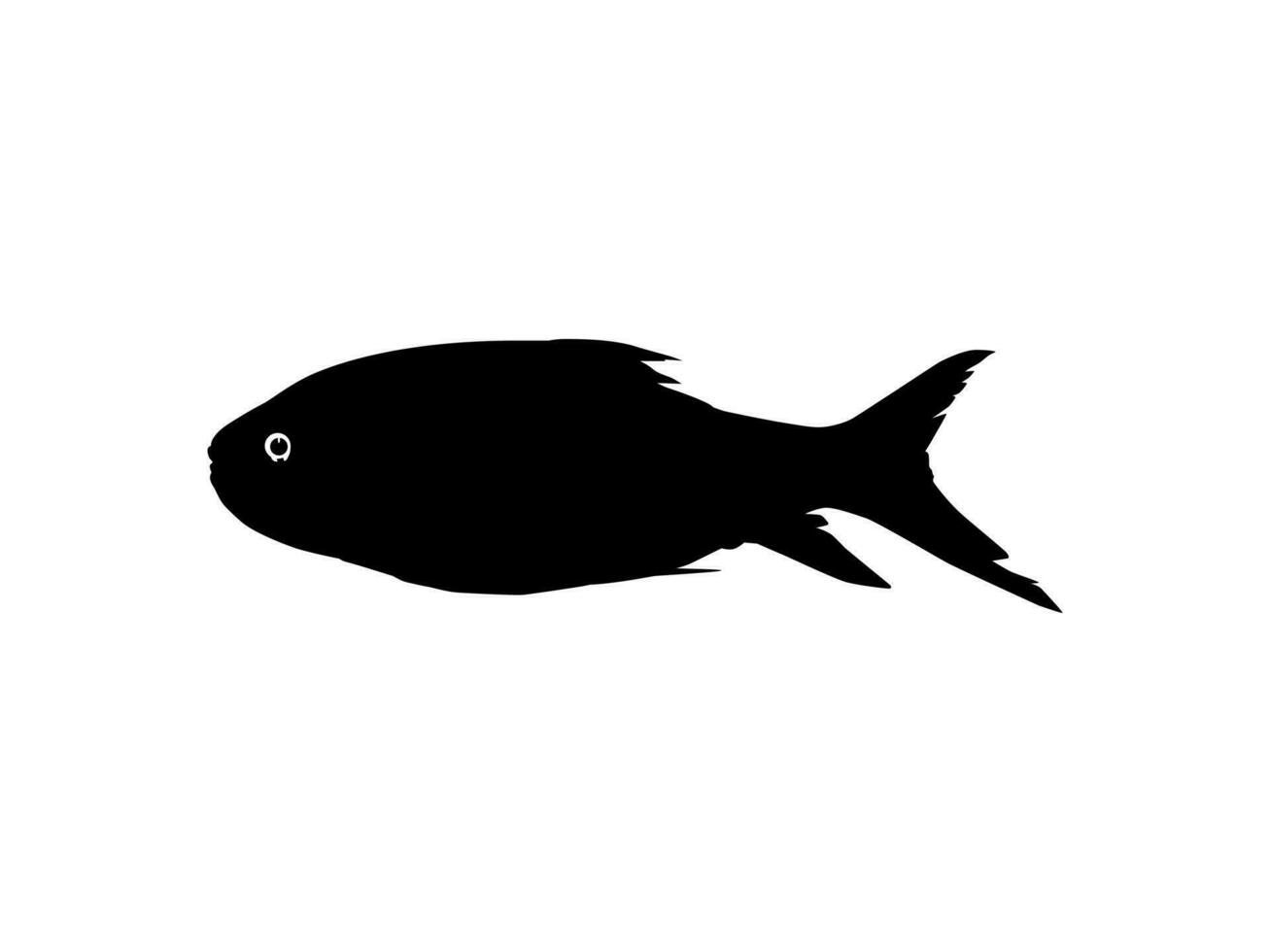 Catla or Katla Fish, also known as the major South Asian Carp, Silhouette for Icon, Symbol, Logo Type, Pictogram, Apps, Website or Graphic Design Element. Vector Illustration