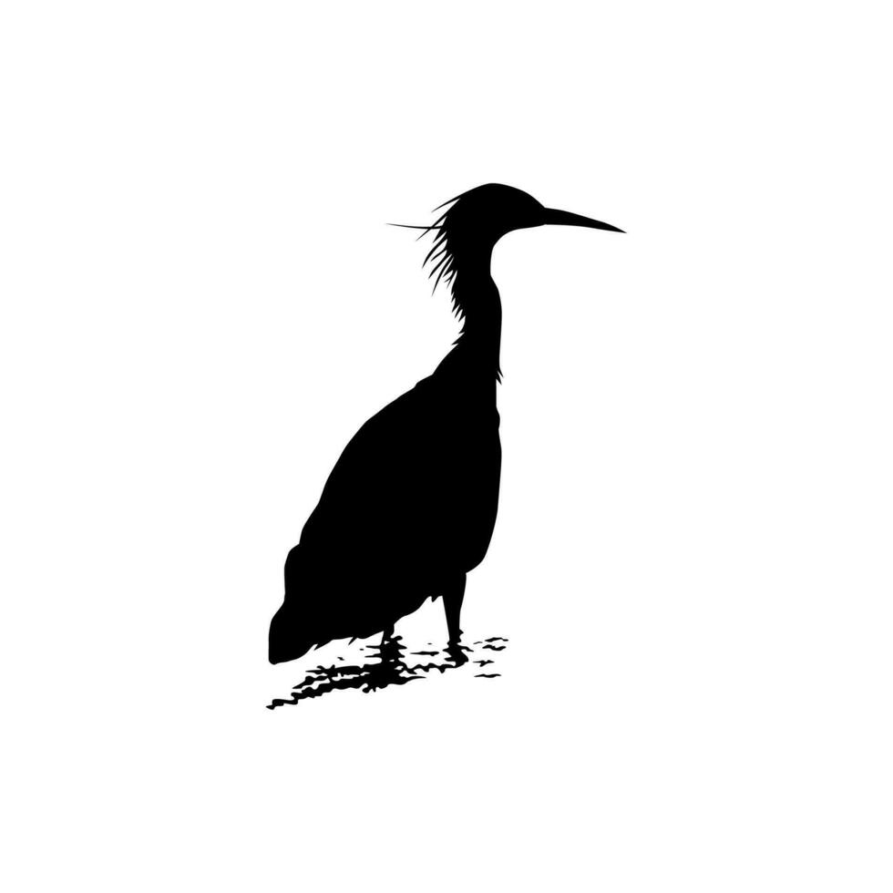 The Black Heron Bird, Egretta Ardesiaca, also known as the Black Egret Silhouette for Art Illustration, Logo, Pictogram, Website, or Graphic Design Element. Vector Illustration