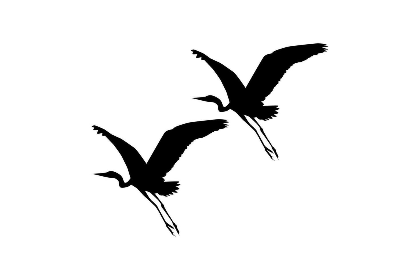 Pair of The Black Heron Bird, Egretta Ardesiaca, also known as the Black Egret Silhouette for Art Illustration, Logo, Pictogram, Website, or Graphic Design Element. Vector Illustration