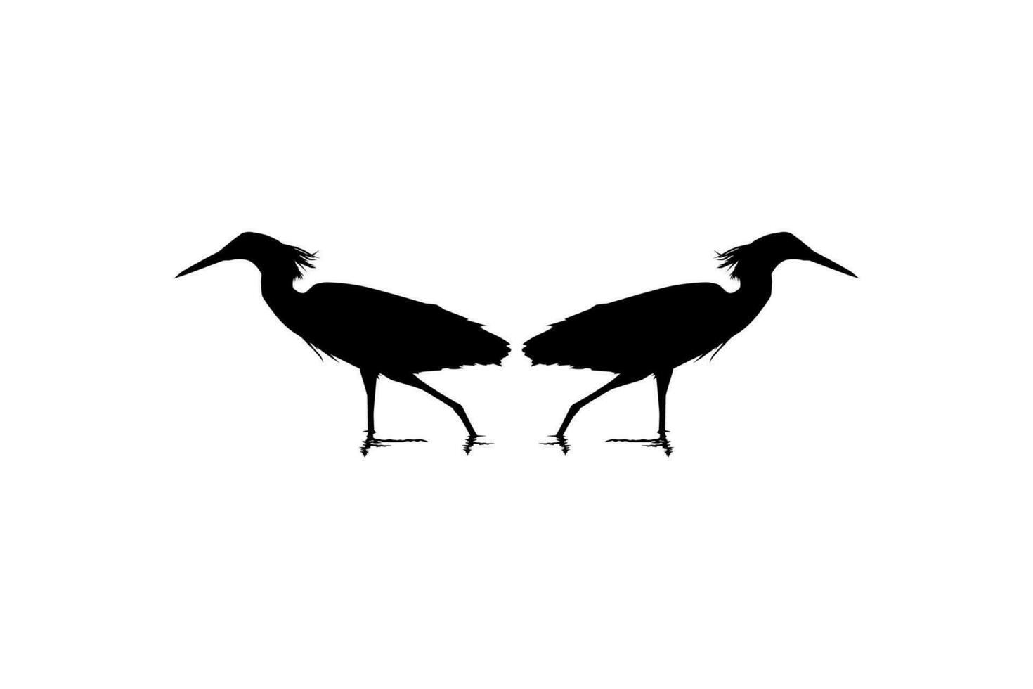 Pair of The Black Heron Bird, Egretta Ardesiaca, also known as the Black Egret Silhouette for Art Illustration, Logo, Pictogram, Website, or Graphic Design Element. Vector Illustration