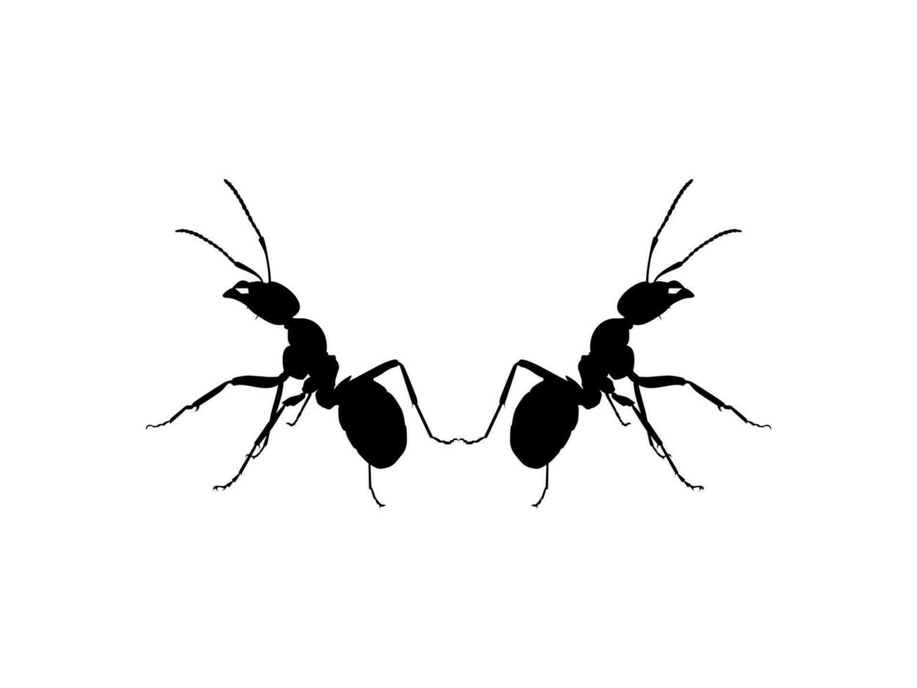 Pair of the Ant Silhouette for Art Illustration, Logo, Pictogram, Website, or Graphic Design Element. Vector Illustration