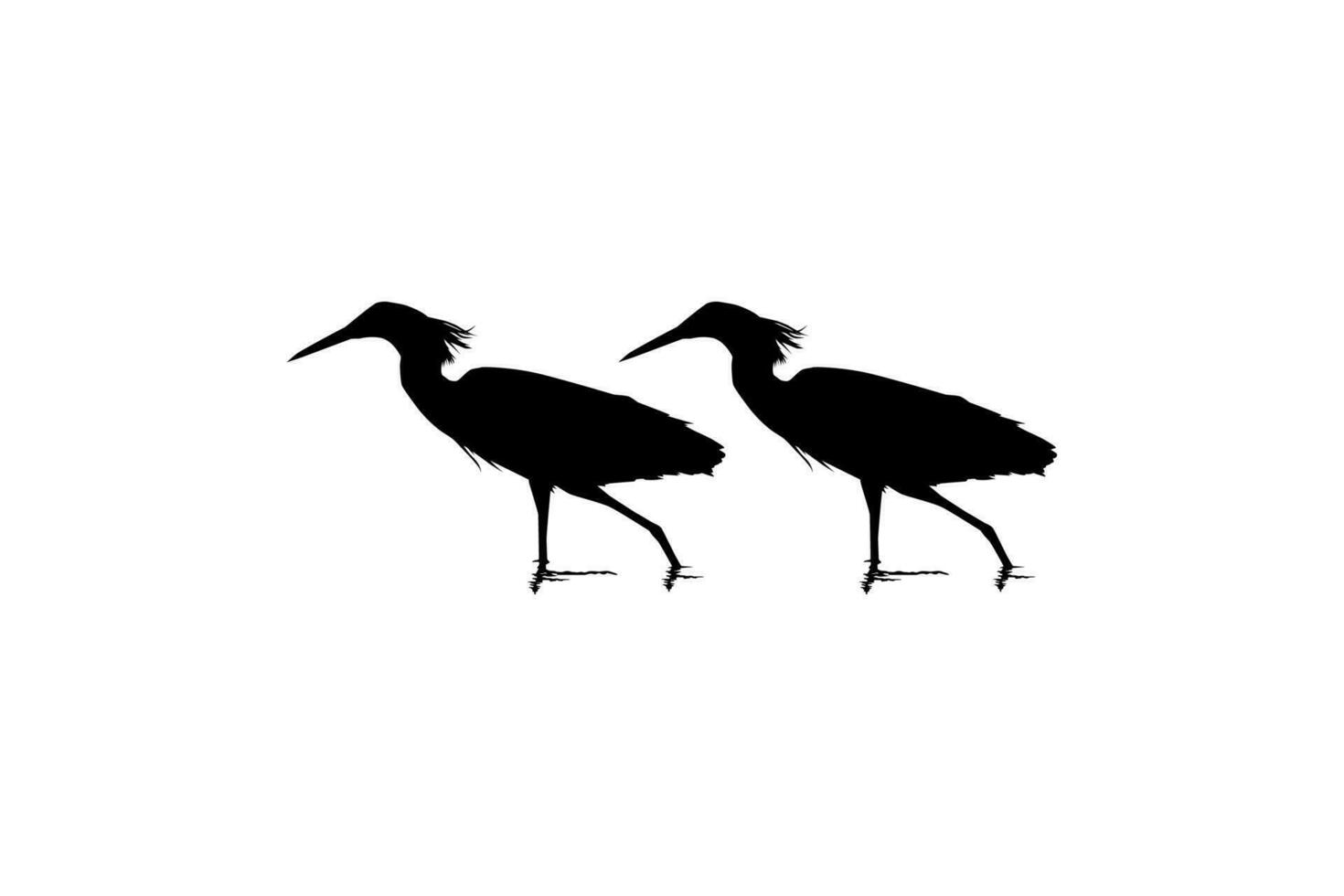 Pair of The Black Heron Bird, Egretta Ardesiaca, also known as the Black Egret Silhouette for Art Illustration, Logo, Pictogram, Website, or Graphic Design Element. Vector Illustration