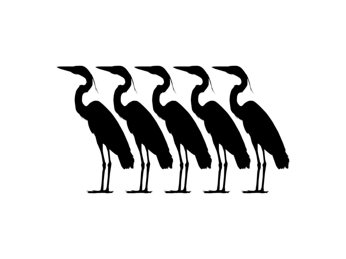 Flock of The Black Heron Bird, Egretta Ardesiaca, also known as the Black Egret Silhouette for Art Illustration, Logo, Pictogram, Website, or Graphic Design Element. Vector Illustration