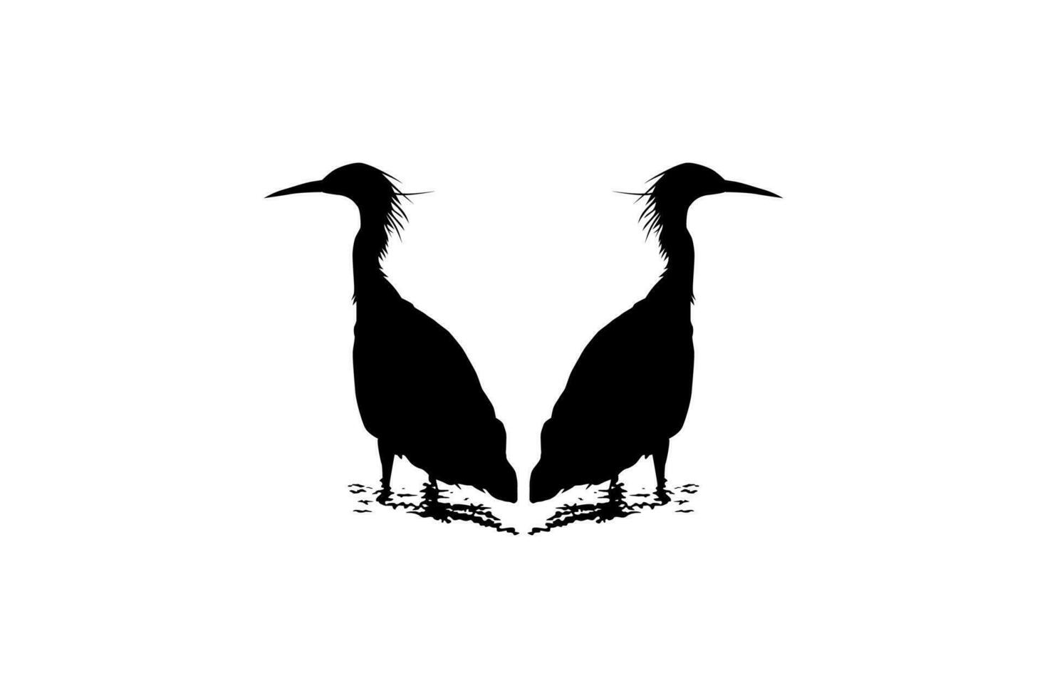 Pair of The Black Heron Bird, Egretta Ardesiaca, also known as the Black Egret Silhouette for Art Illustration, Logo, Pictogram, Website, or Graphic Design Element. Vector Illustration