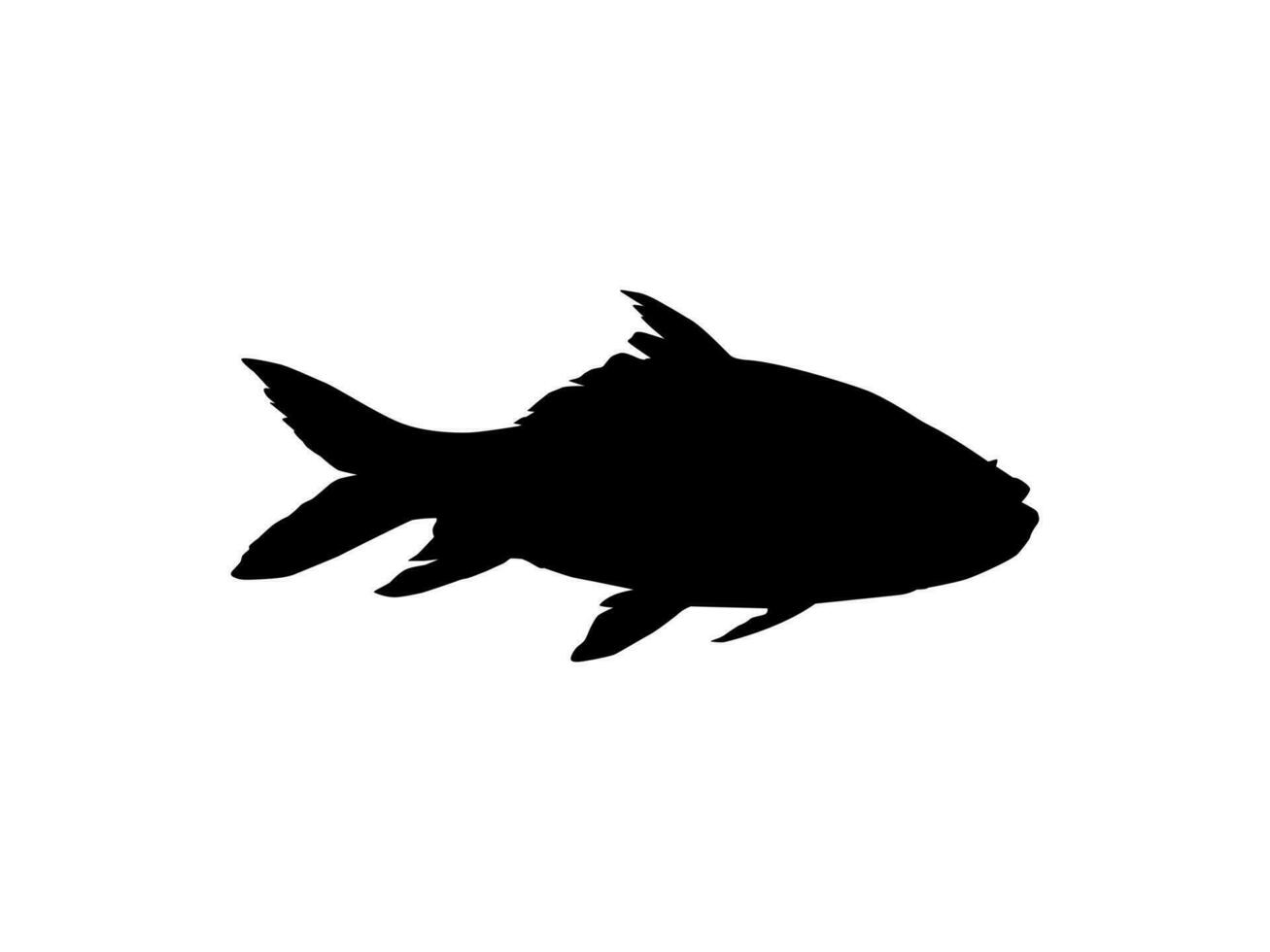 Catla or Katla Fish, also known as the major South Asian Carp, Silhouette for Icon, Symbol, Logo Type, Pictogram, Apps, Website or Graphic Design Element. Vector Illustration