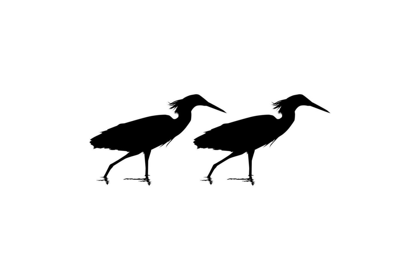 Pair of The Black Heron Bird, Egretta Ardesiaca, also known as the Black Egret Silhouette for Art Illustration, Logo, Pictogram, Website, or Graphic Design Element. Vector Illustration