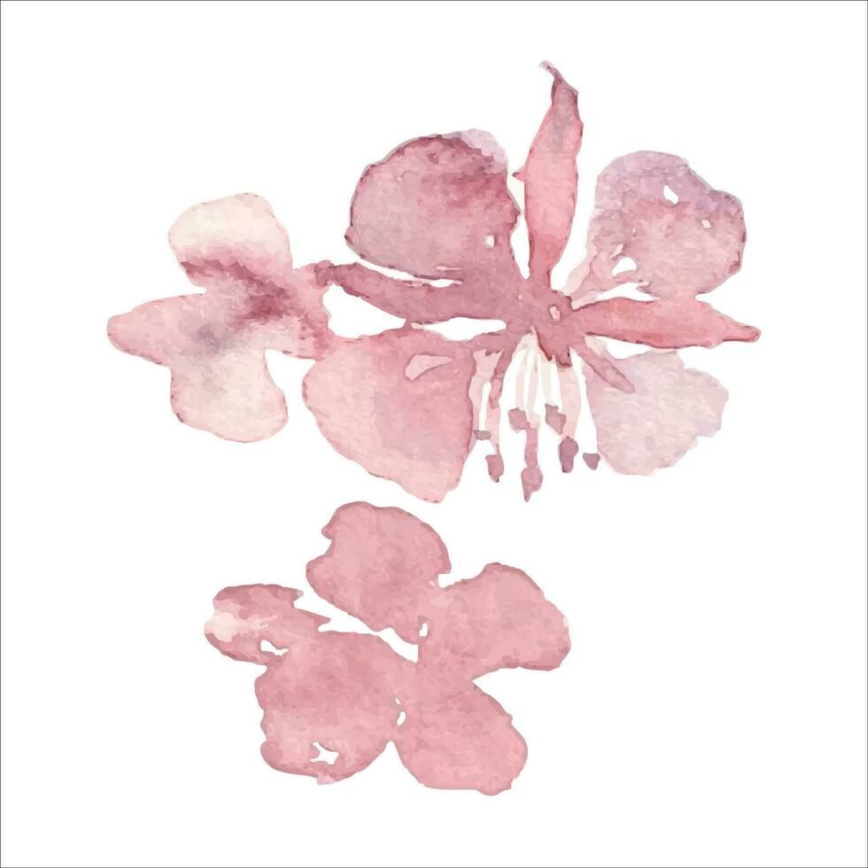 Willow-herb watercolor illustration, vector icon print design