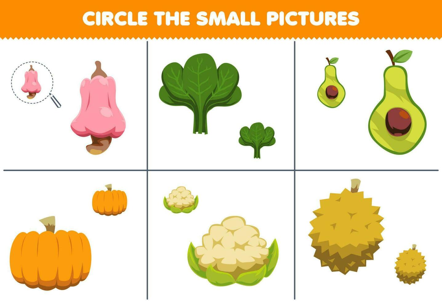 Education game for children circle the small picture of cute cartoon cashew spinach avocado pumpkin cauliflower durian printable worksheet vector