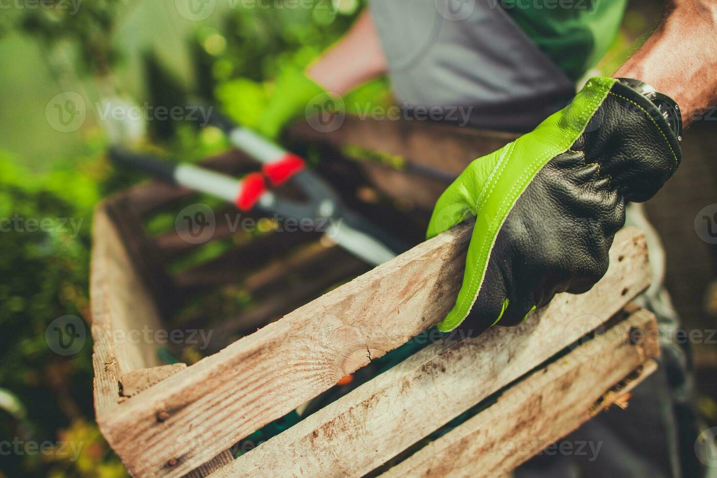Gardener with Wooden Crate photo