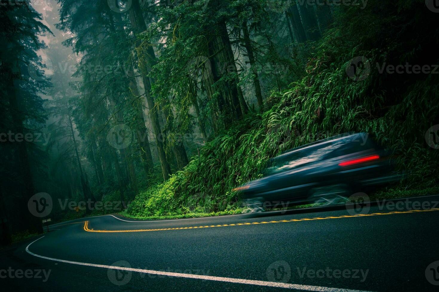 Redwood Highway View photo